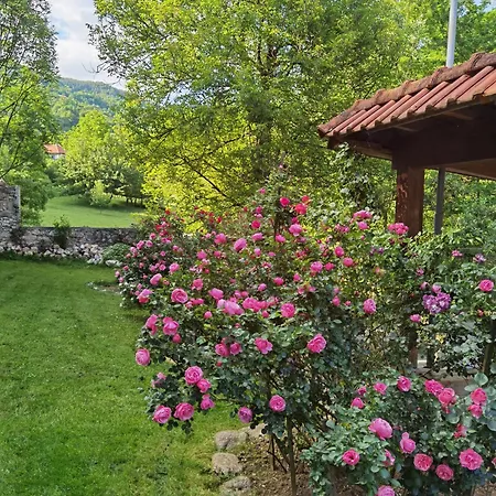 Apartament Relax House Sarajewo